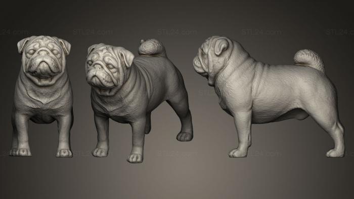 Статуэтки животных (Мопс-Собака, STKJ_0403) 3D модель для ЧПУ станка